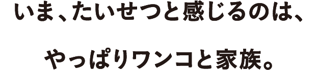 いま、たいせつと感じるのは、
  やっぱりワンコと家族。